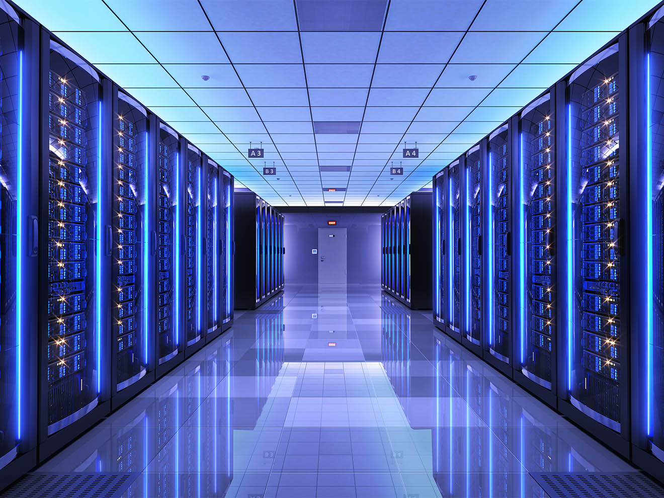 Tallahassee IT  Network Services